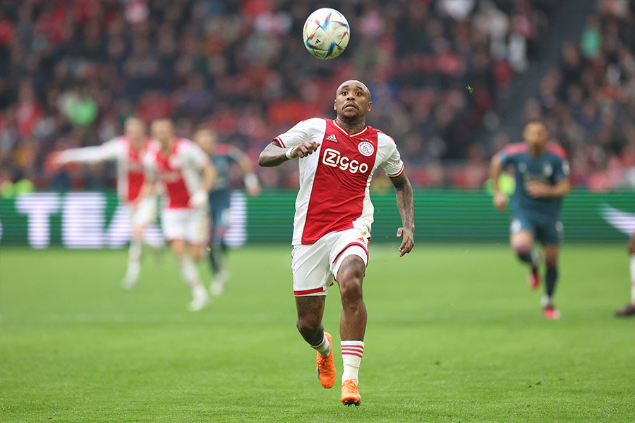 Bergwijnbal900