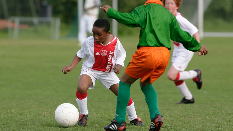 Bergwijn 880 F1 Kampioen 07