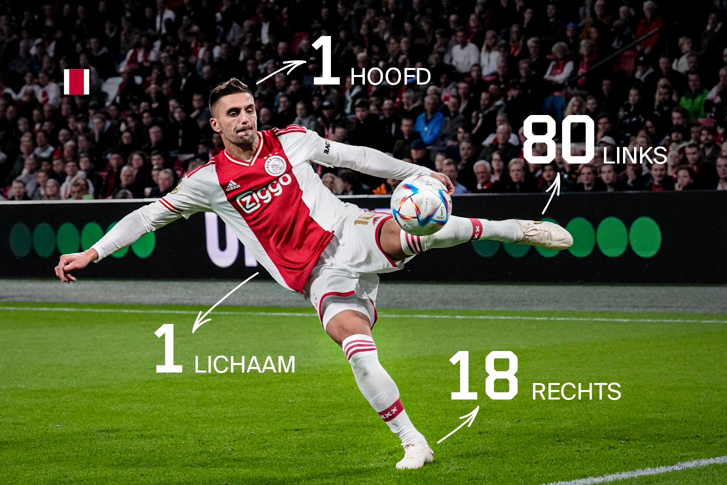 Tadic Lichaamsdelen NL Copy