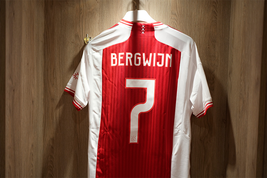 Bergwijnshirt900