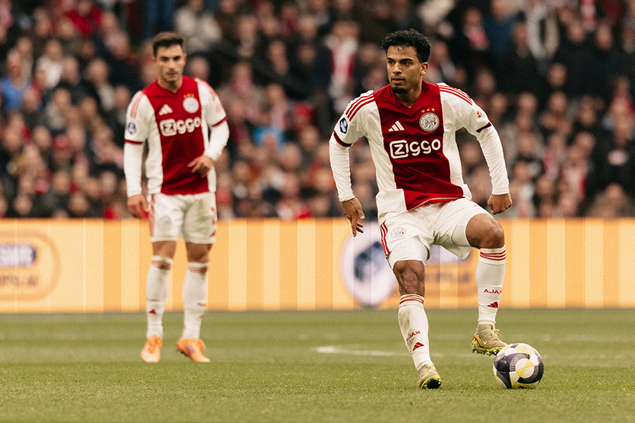 Wijndalrosa