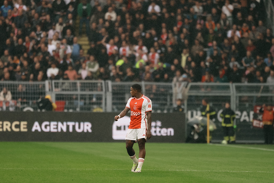 Bergwijn Op Veld 900