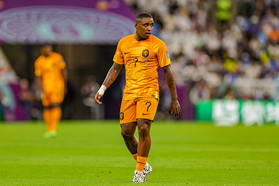 Bergwijnnl900
